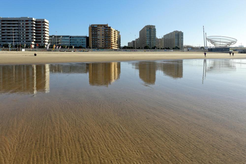 Apartament Em Condominio Com Piscina Matosinhos  Eksteriør billede